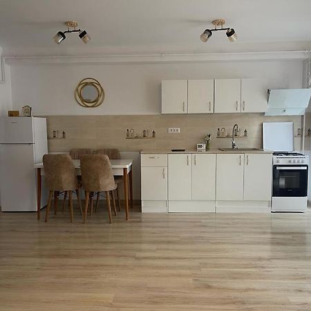Apartament Yra Rm.Valcea Râmnicu Vâlcea Zewnętrze zdjęcie
